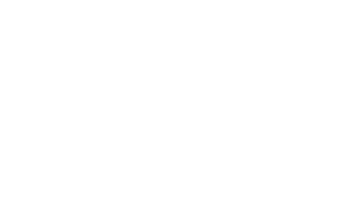 ParaState